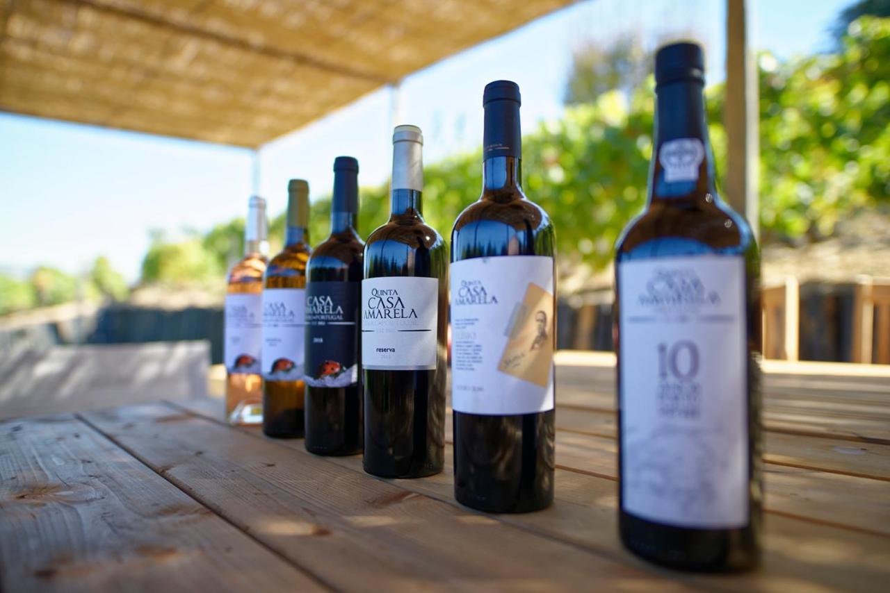 Quinta Da Casa Amarela- Casas Da Quinta - Turismo Em Espaco Rural ラメゴ エクステリア 写真
