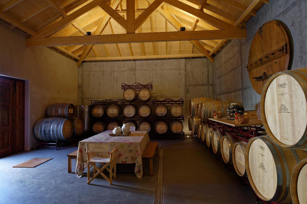 Quinta Da Casa Amarela- Casas Da Quinta - Turismo Em Espaco Rural ラメゴ エクステリア 写真