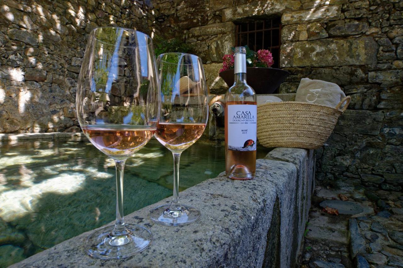 Quinta Da Casa Amarela- Casas Da Quinta - Turismo Em Espaco Rural ラメゴ エクステリア 写真